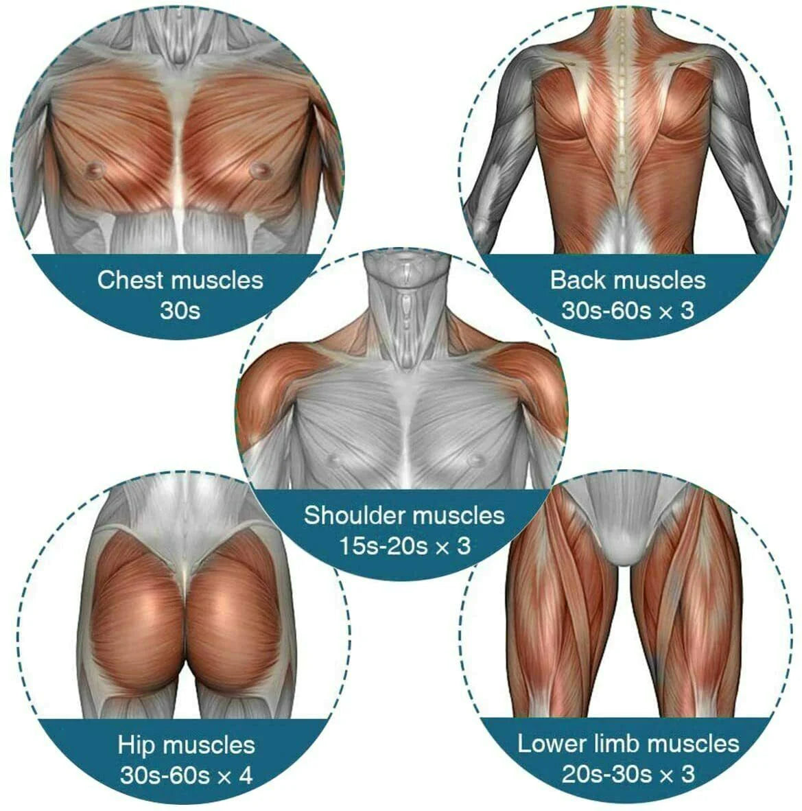 Vitalon™ Pro Deep Tissue Massage Gun